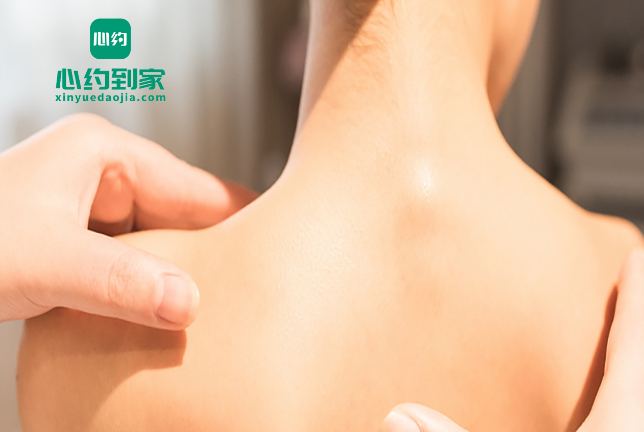 企业简介